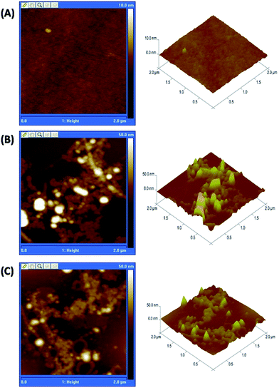 image file: c5ra16600d-f2.tif