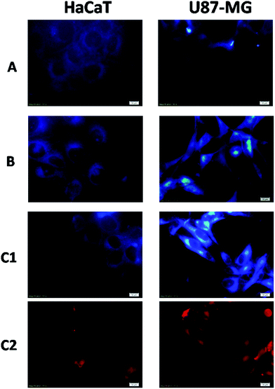 image file: c5ra16600d-f5.tif