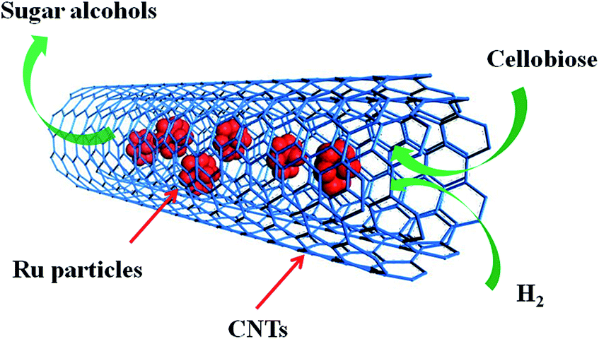 Nano Ru catalysts supported on carbon nanotubes for cellobiose 