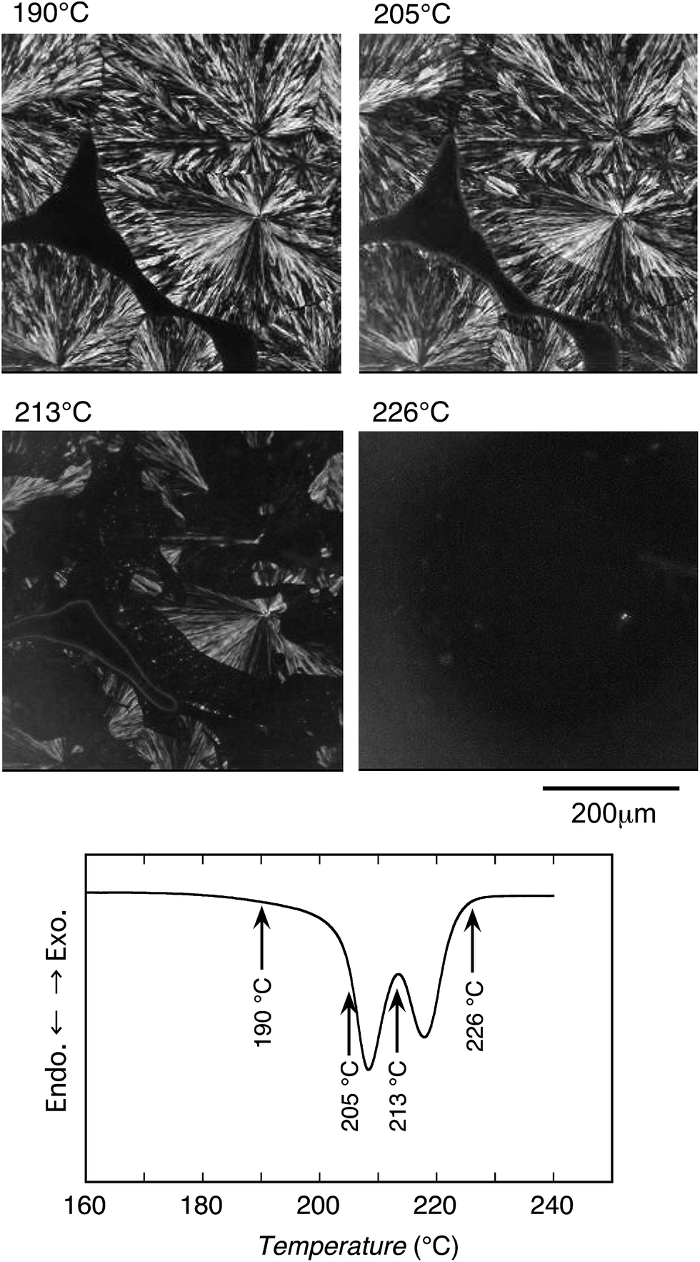 Stereocomplexation Of Quaternary Or Ternary Monomer Units And Dual Stereocomplexation In Enantiomeric Binary And Quaternary Polymer Blends Of Poly 2 H Rsc Advances Rsc Publishing Doi 10 1039 C5raf