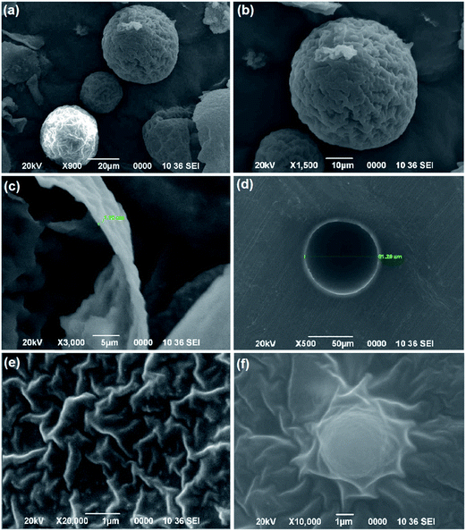 image file: c5ra17666b-f7.tif