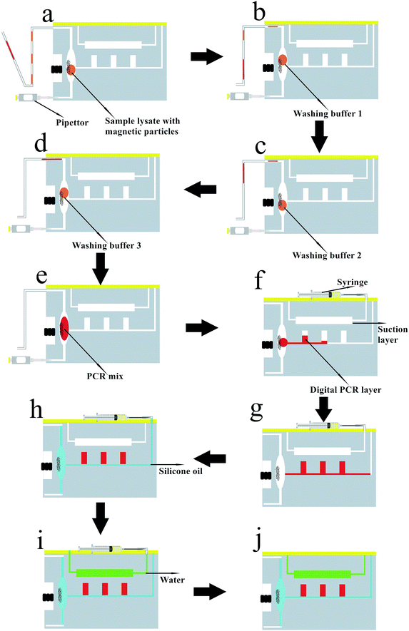 image file: c5ra18166f-f2.tif