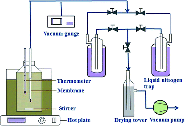 image file: c5ra18711g-f1.tif