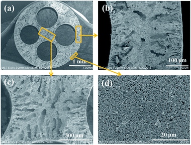 image file: c5ra18711g-f2.tif