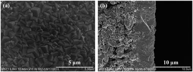 image file: c5ra18711g-f4.tif