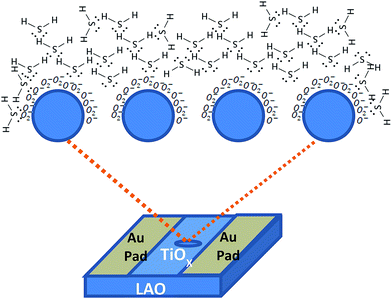image file: c5ra19426a-f7.tif