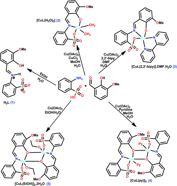 image file: c5ra19498a-s1.tif