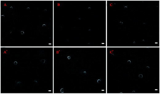 image file: c5ra20847e-f4.tif