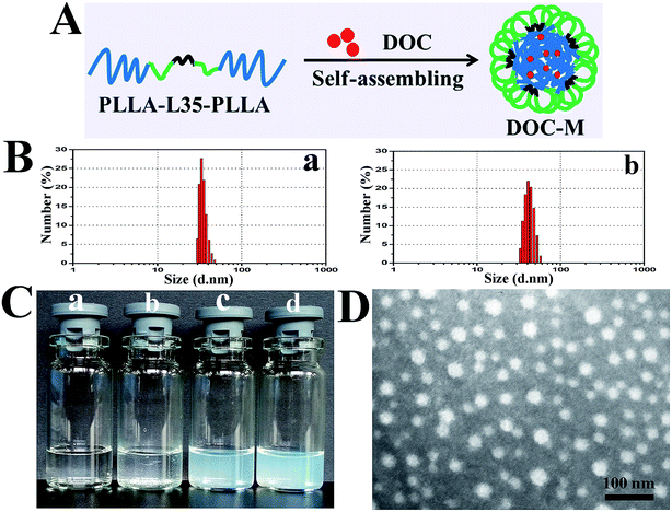 image file: c5ra21067d-f2.tif