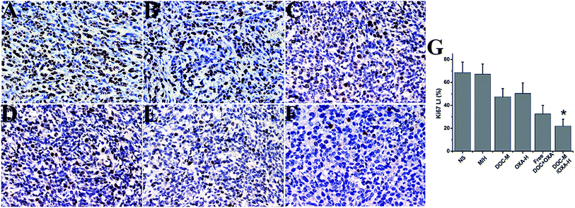 image file: c5ra21067d-f9.tif