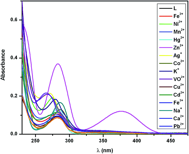 Fluorescence response of a thiazolidine carboxylic acid derivative 