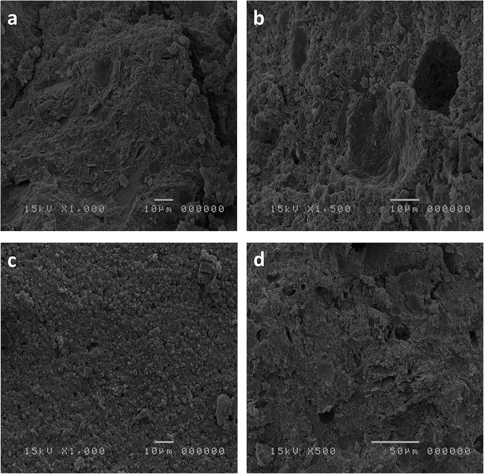 Clay Sediment Geopolymerization By Means Of Alkali Metal Aluminate Activation Rsc Advances Rsc Publishing Doi 10 1039 C5rad