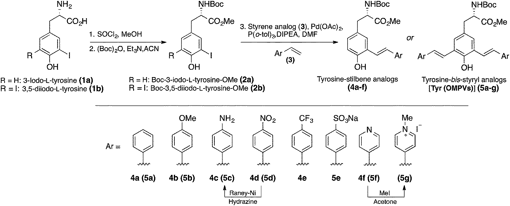 Tyrosine-derived stimuli responsive, fluorescent amino acids - Chemical  Science (RSC Publishing) DOI:10.1039/C4SC02753A