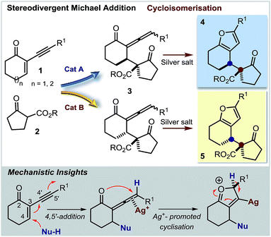 Diastereodivergent organocatalysis for the asymmetric synthesis of ...