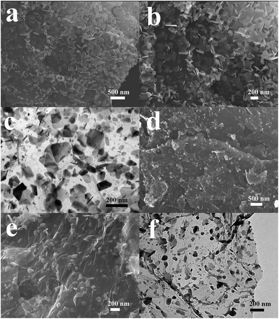 Standing carbon-coated molybdenum dioxide nanosheets on graphene 