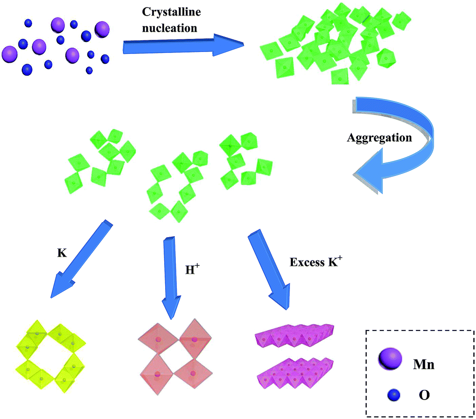 Phasecontrolled synthesis of polymorphic MnO 2 structures for