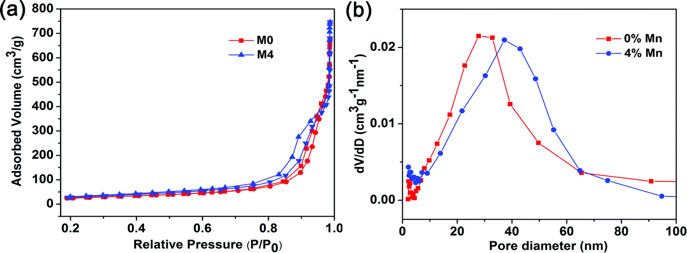 Mn-doped Co 2 (OH) 3 Cl xerogels with 3D interconnected