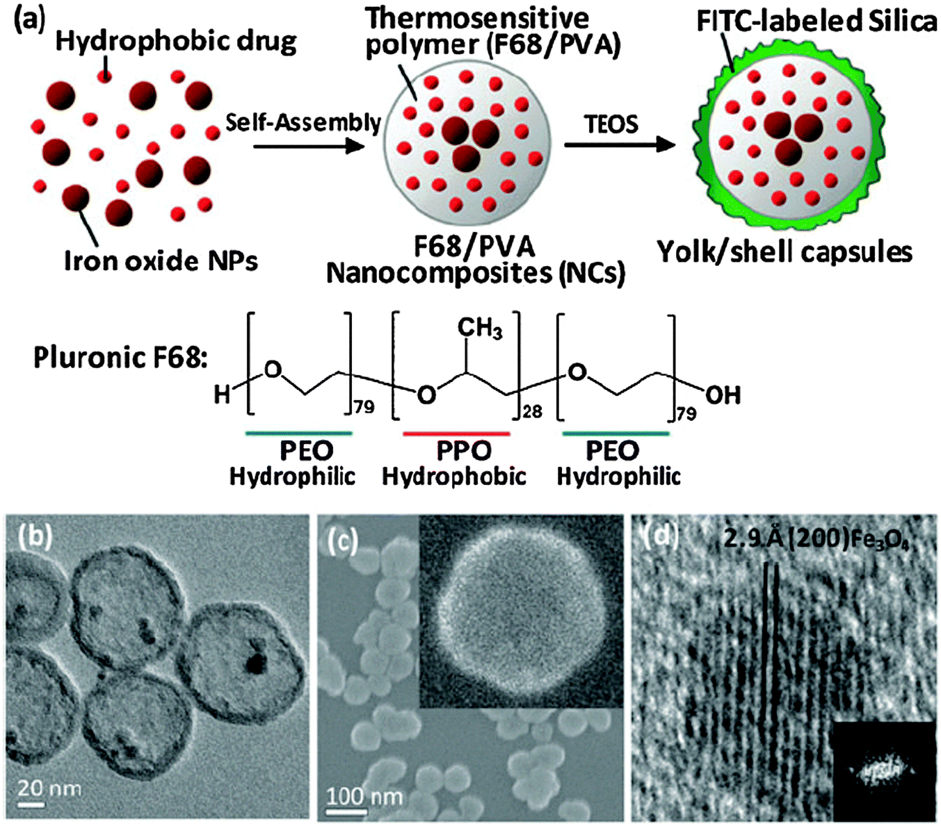 Design of hybrid nanovehicles for remotely triggered drug release 