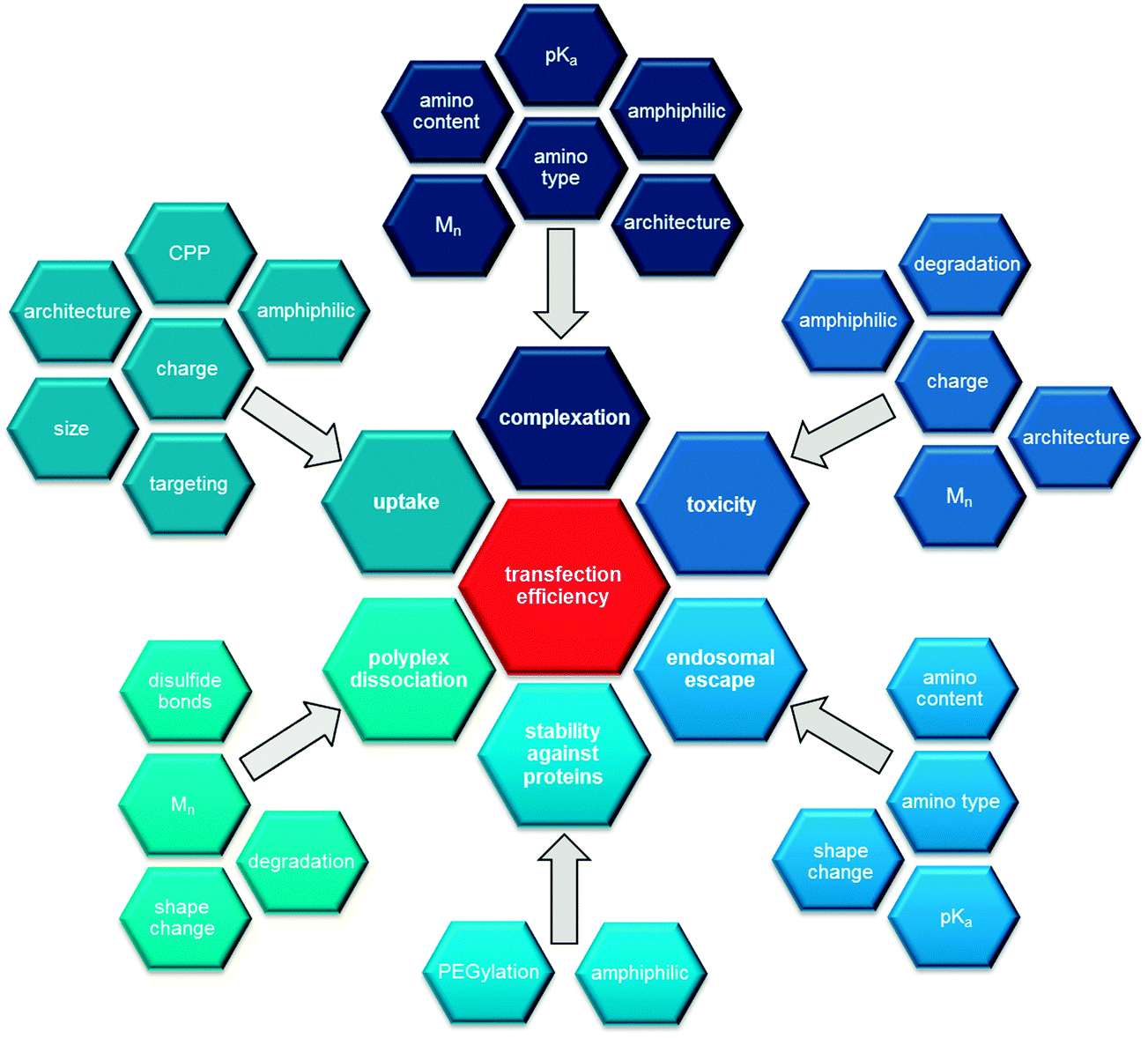 The influence of polymer architecture on in vitro pDNA