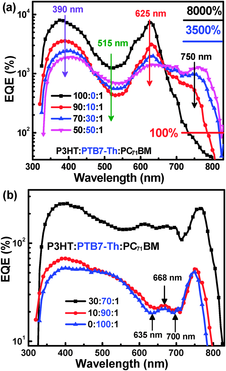 Highly sensitive polymer photodetectors with a broad