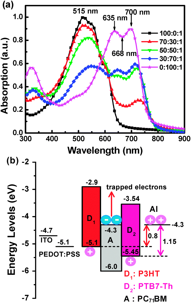 Highly sensitive polymer photodetectors with a broad