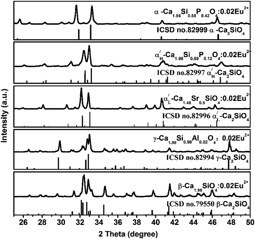 その他 Yu Brain (Classic) (old version) - Yomega ┃Yo-yo Specialty