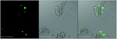 image file: c4tx00160e-f4.tif