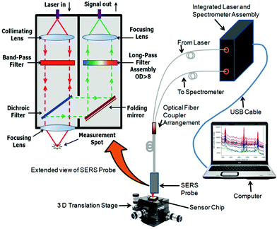 Highly sensitive and specific detection of E. coli by a SERS ...