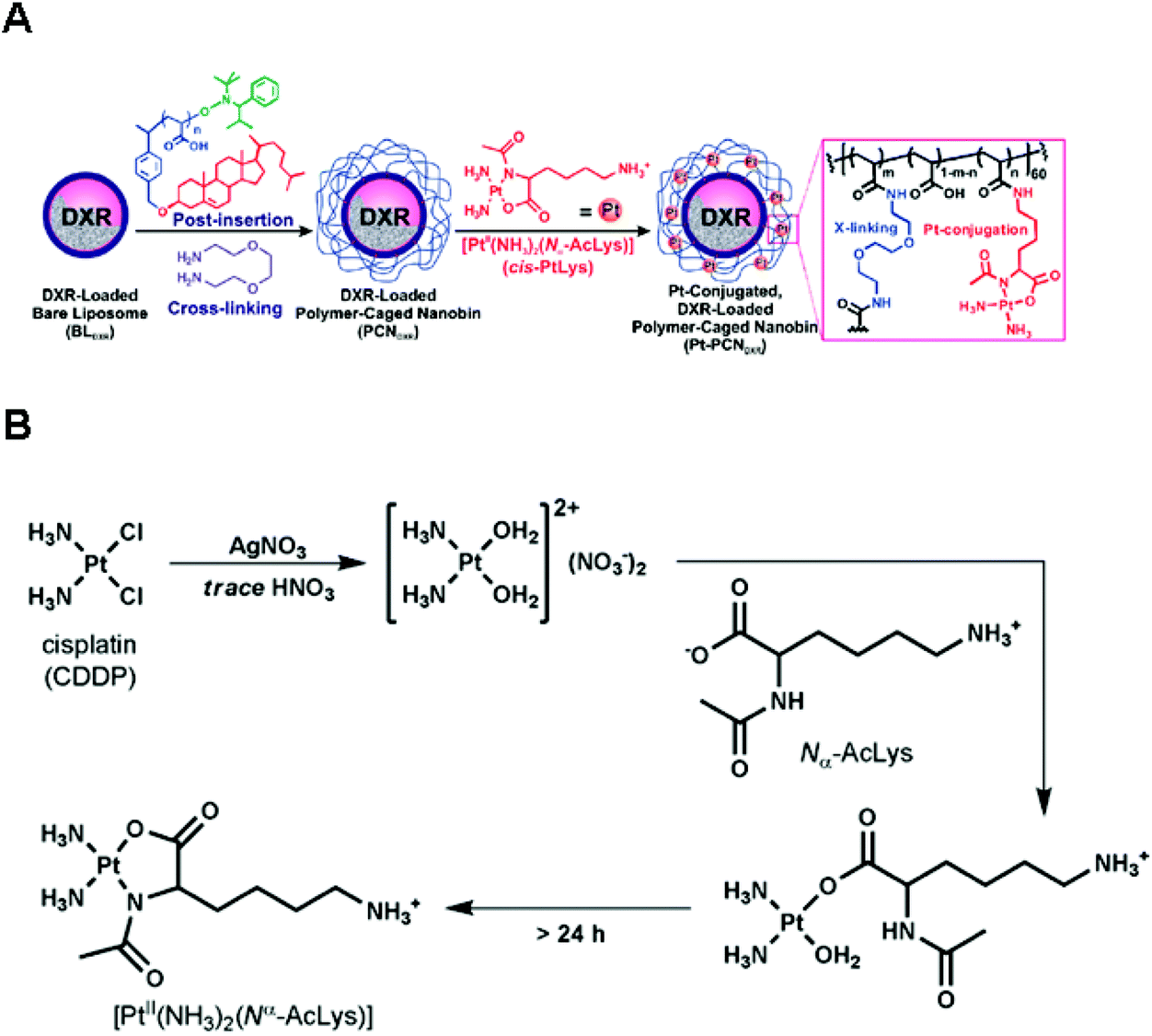 Polymeric Biomaterials For The Delivery Of Platinum-based Anticancer ...