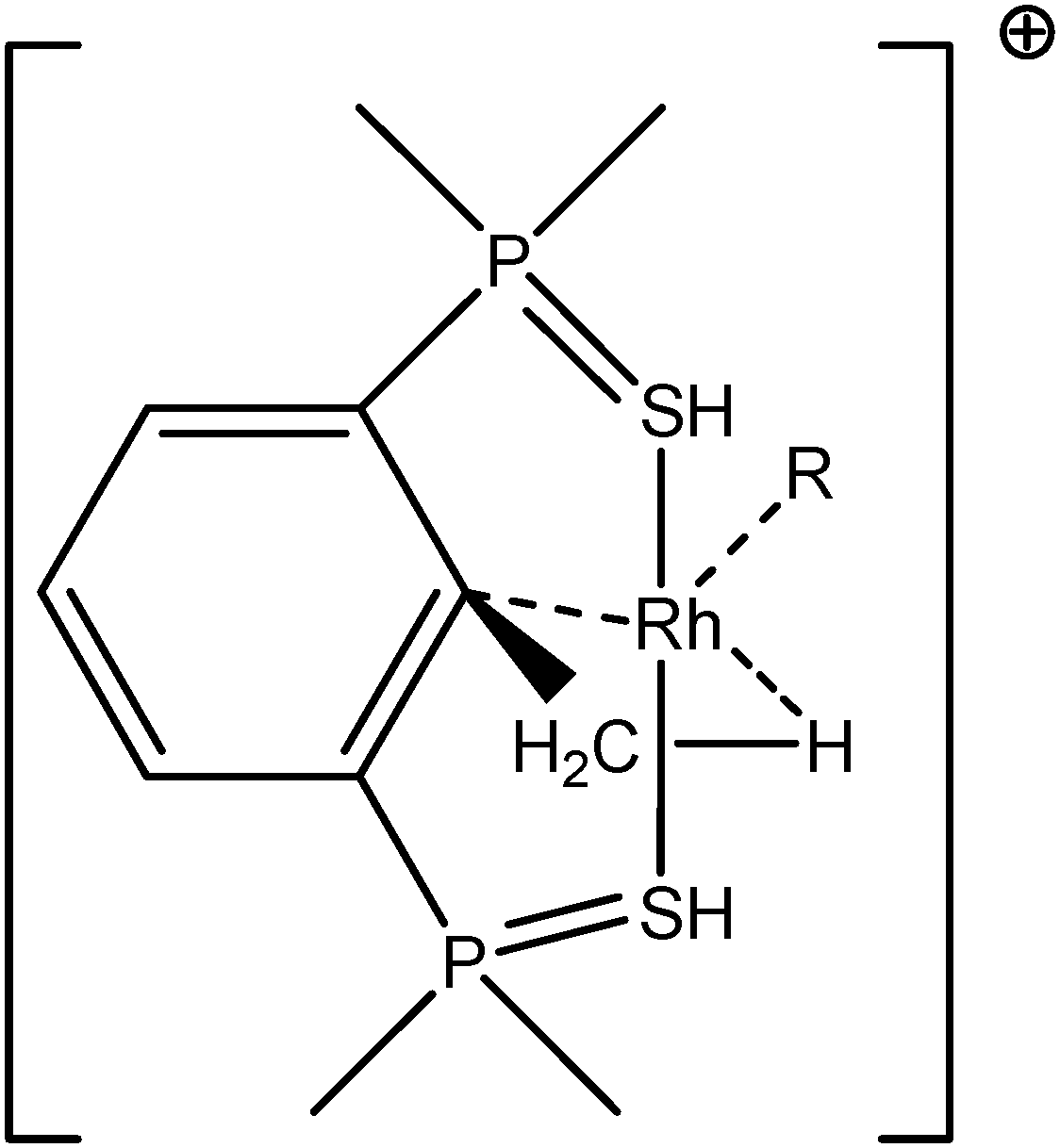 Activation of C–H and B–H bonds through agostic bonding: an ELF/QTAIM ...