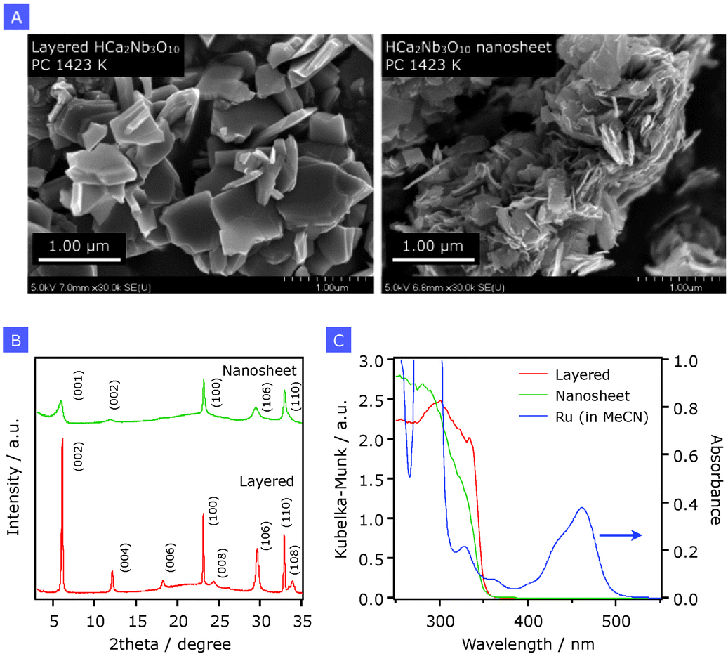 Emission spectroscopy of a ruthenium( ii ) polypyridyl complex adsorbed
