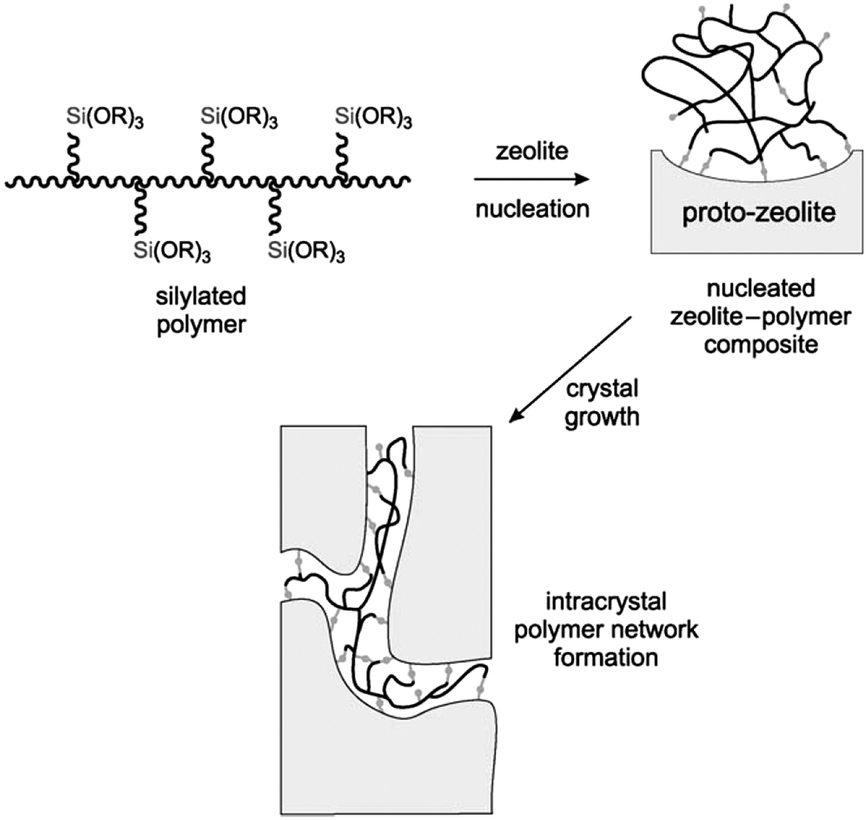 Tailoring And Visualizing The Pore Architecture Of Hierarchical ...