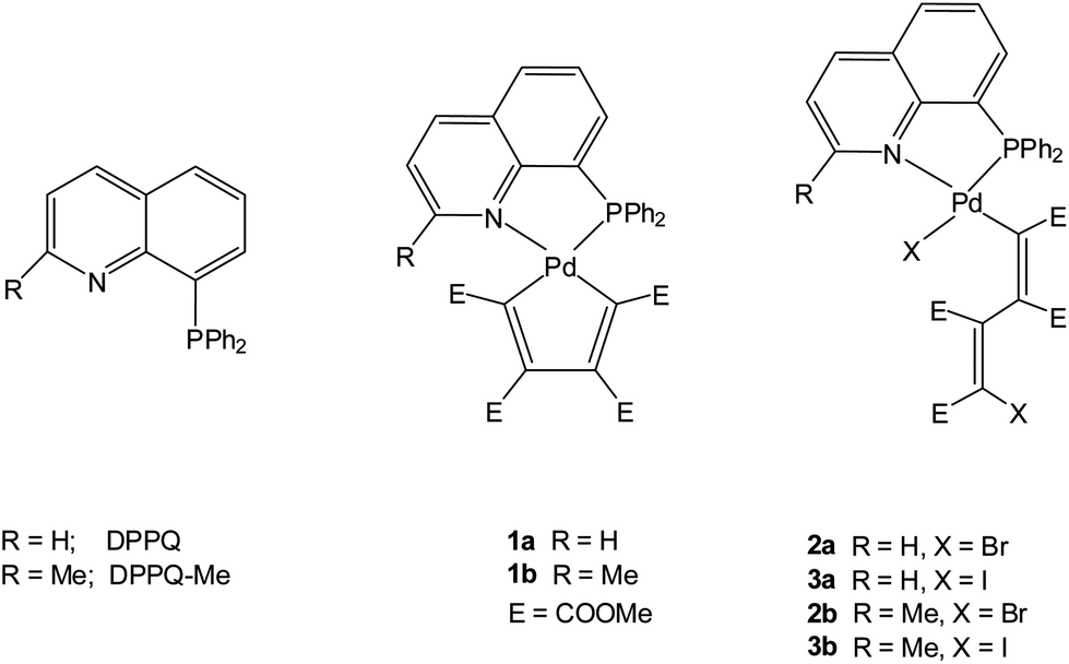 The Addition Of Bromine And Iodine To Palladacyclopentadienyl Complexes Bearing Bidentate Heteroditopic P N Spectator Ligands Derived From Differently Substituted Quinolinic Frames The Unexpected Evolution Of The Reaction Dalton Transactions Rsc