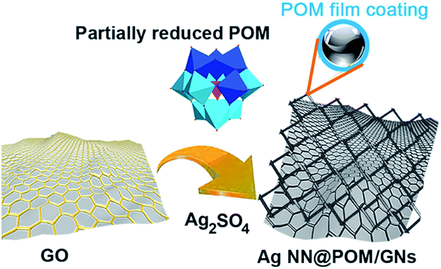 Polyoxometalate-functionalized nanocarbon materials for energy ...