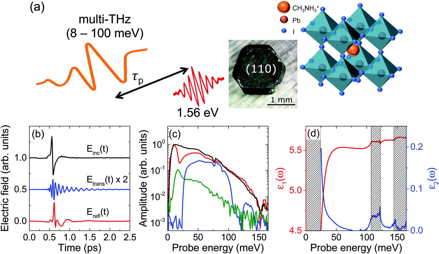 Intrinsic Femtosecond Charge Generation Dynamics In Single Crystal Ch3nh3pbi3 Energy Environmental Science Rsc Publishing