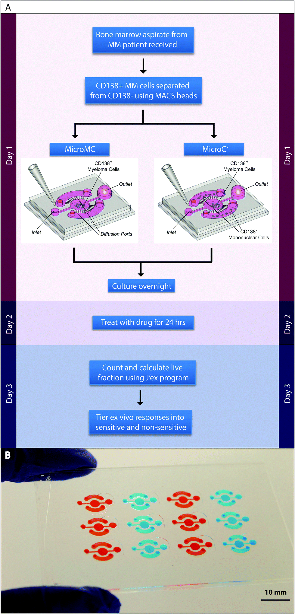 Microc3 An Ex Vivo Microfluidic Cis Coculture Assay To Test Chemosensitivity And Resistance Of Patient Multiple Myeloma Cells Integrative Biology Rsc Publishing