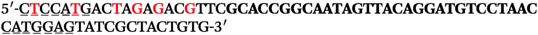 Selection of LNA-containing DNA aptamers against recombinant human CD73 ...