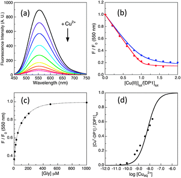 A set of robust fluorescent peptide probes for quantification of Cu( ii ...
