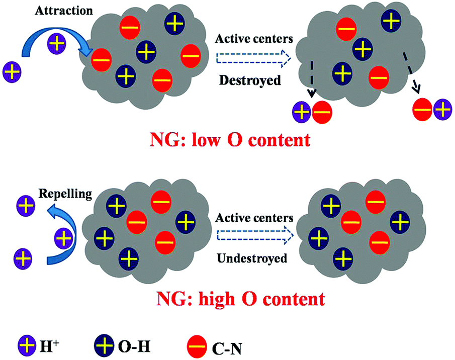 Graphenemodified electrodes for enhancing the performance of microbial