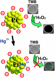 Engineering noble metal nanomaterials for environmental applications ...