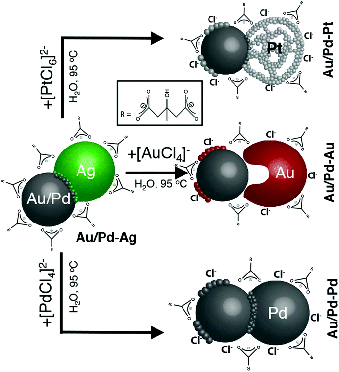 Heterostructured Au Pd M M Au Pd Pt Nanoparticles With Compartmentalized Composition Morphology And Electrocatalytic Activity Nanoscale Rsc Publishing