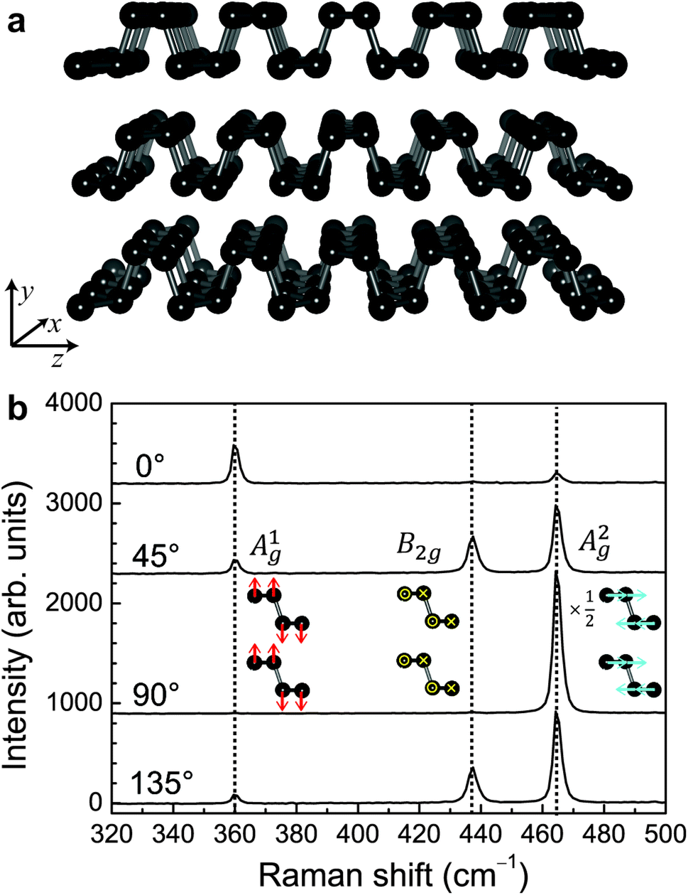 Anomalous Polarization Dependence Of Raman Scattering And ...