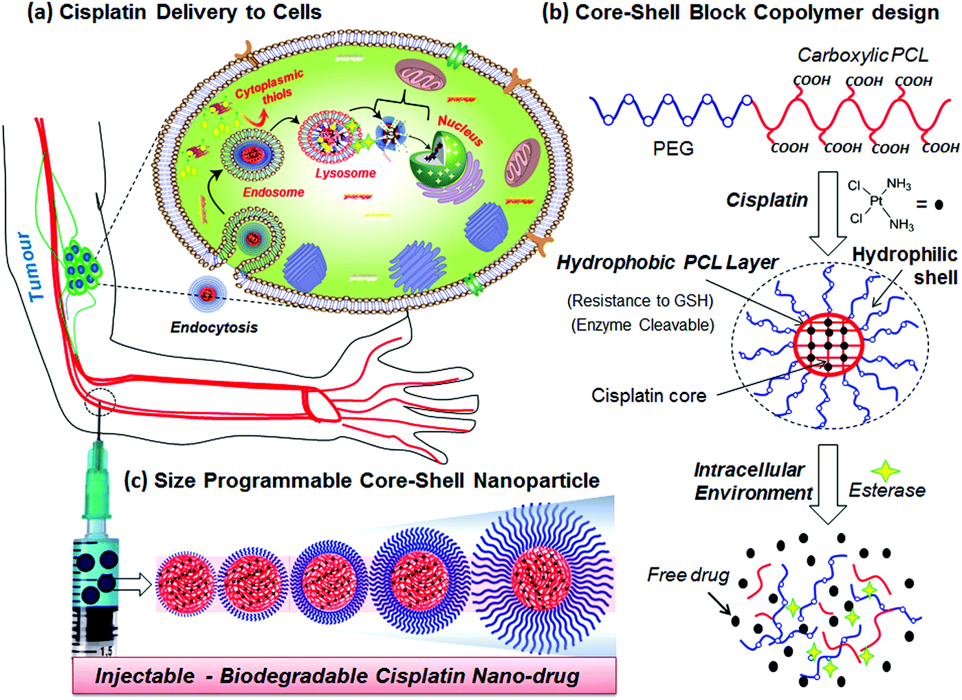 core shell nanoparticles wiki core shell nanoparticles wiki