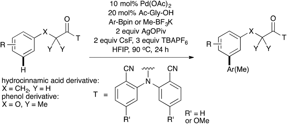 Transition Metal Catalyzed Meta C H Functionalization Of Aromatic Compounds Organic Biomolecular Chemistry Rsc Publishing