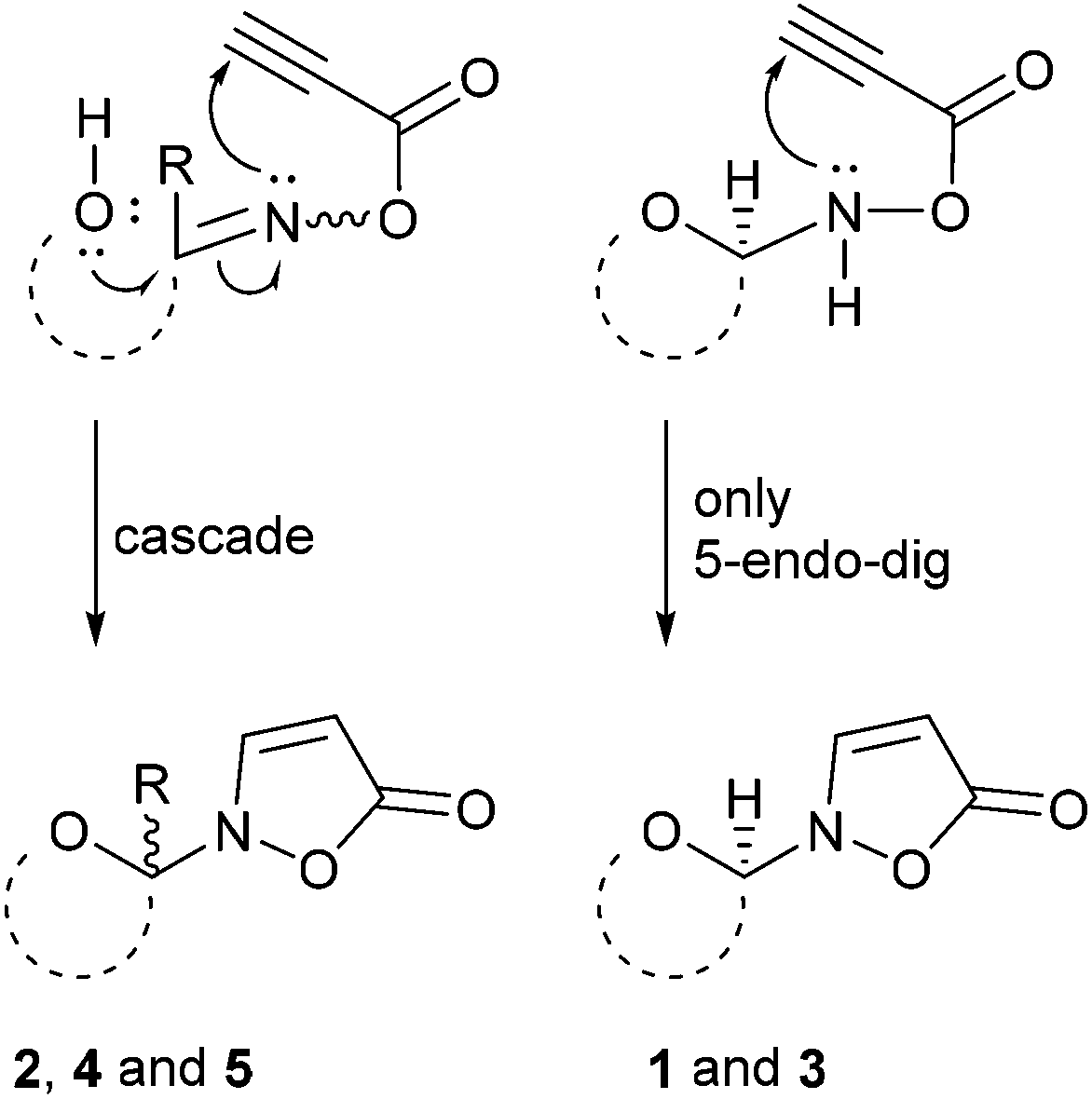 Synthesis and photosensitivity of isoxazolin-5-one glycosides - Organic ...