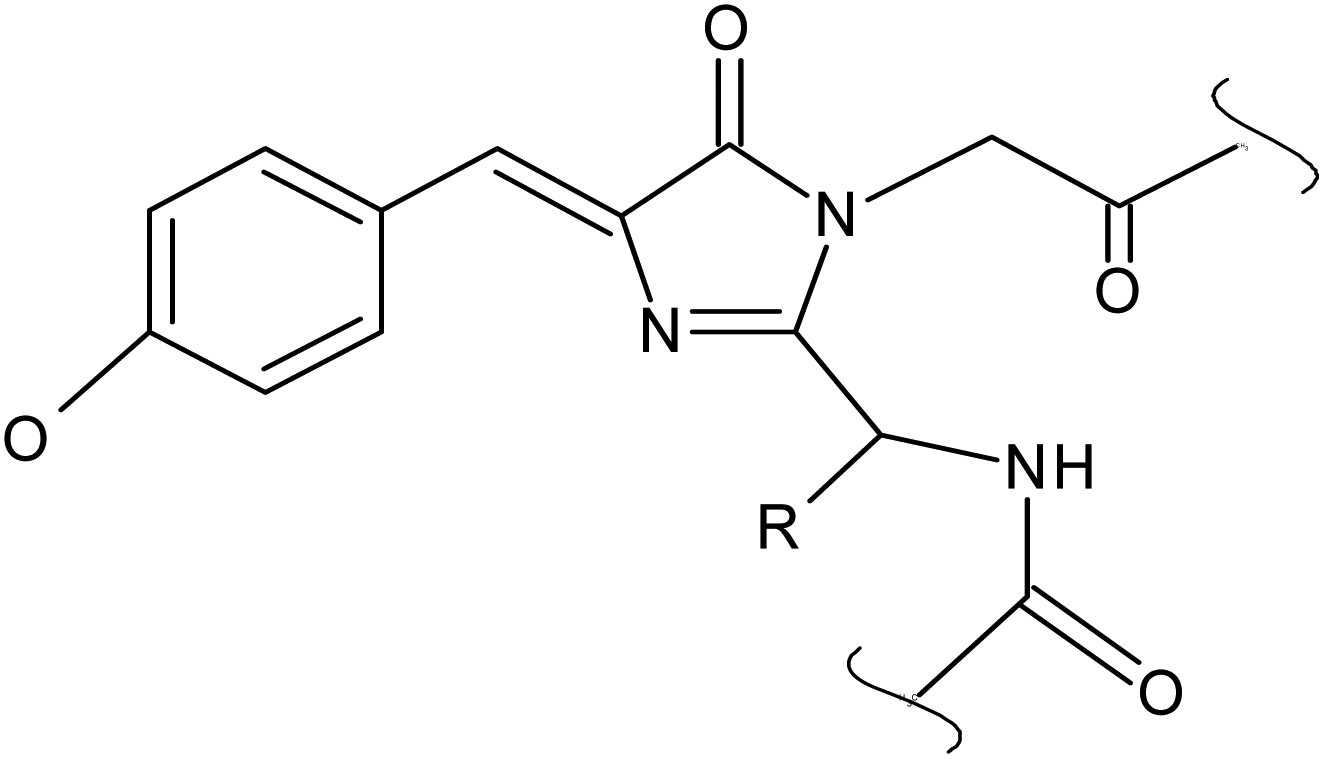 Reviewing The Relevance Of Fluorescence In Biological - 