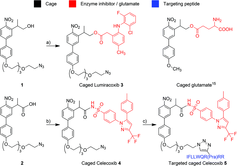 Two-photon uncageable enzyme inhibitors bearing targeting vectors ...