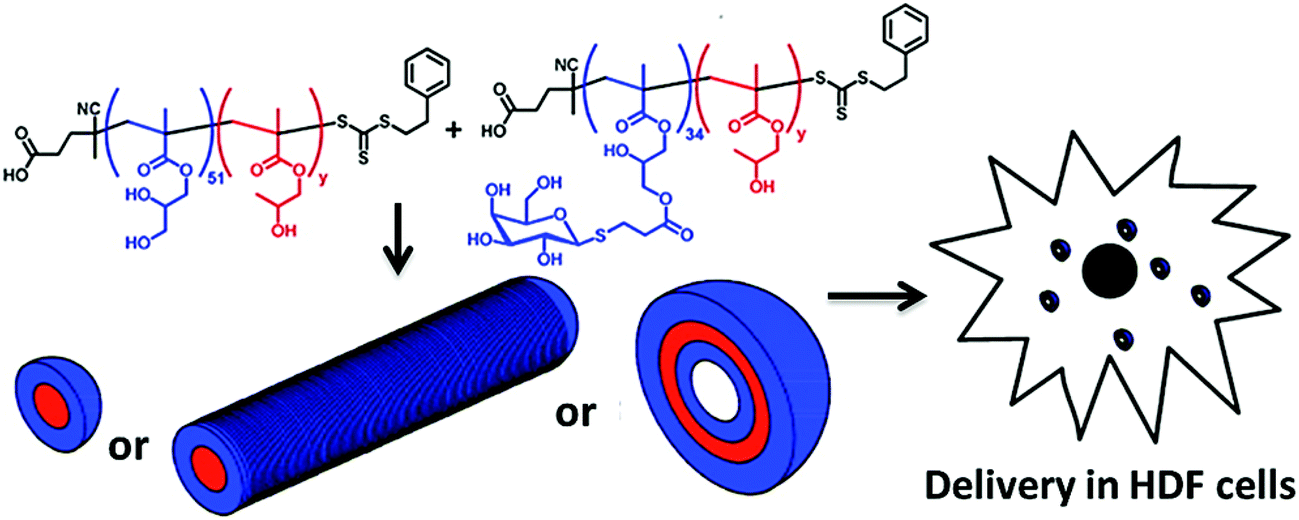 Glyconanoparticles and their interactions with lectins Polymer