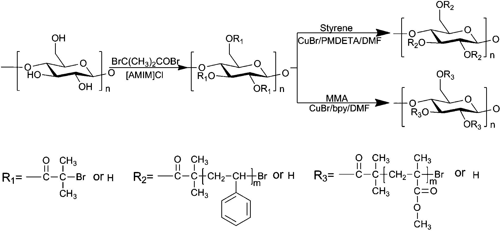 Corn Starch Based Graft Copolymers Prepared Via Atrp At The - 