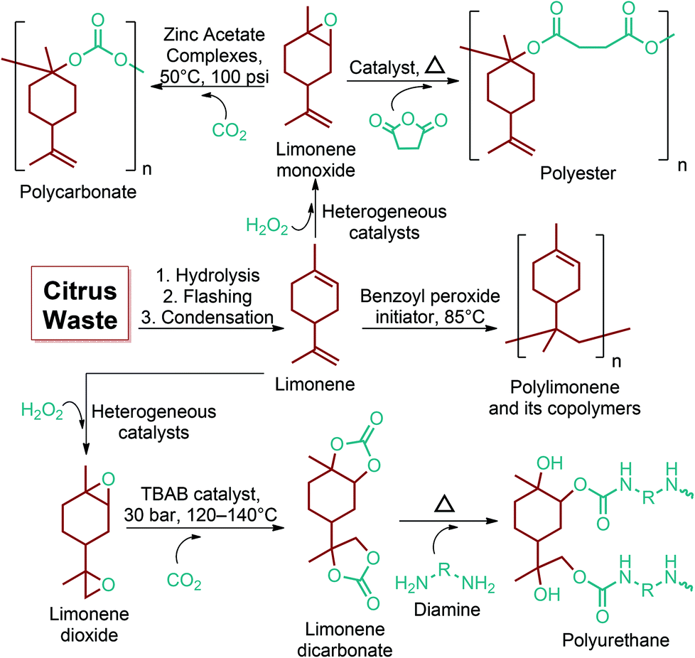 Lignocellulosic Biomass A Sustainable Platform For The